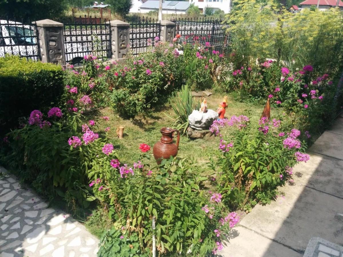 Cazare Adela 호레주 외부 사진